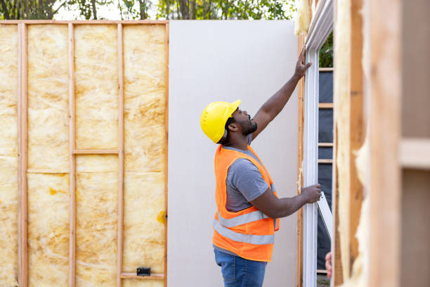 Best Insulation for New Construction  in Mason Neck, VA